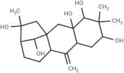 Leucothol B