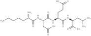 Lysyl-aspartyl-glutamyl-leucine