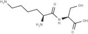 Lysyl-serine