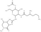 N-Methylstreptothricin F