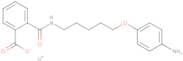 Phthalamic acid, N-(5-(p-aminophenoxy)pentyl)-, lithium salt