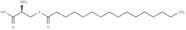 S-Palmitoyl cysteine