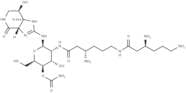 Streptothricin E