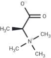 Trimethylalanine