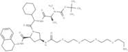 A 410099.1 amide-PEG4-amine