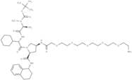 A 410099.1 amide-PEG5-amine