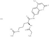 Gly-Arg-AMC (hydrochloride)