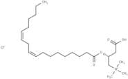 Linoleoyl-L-carnitine (chloride)