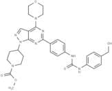 mTOR inhibitor WYE-28