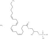 1-Arachidonoyl Lysophosphatidic Acid (ammonium salt)