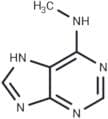 N6-Methyladenine