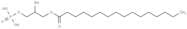 1-Palmitoyl Lysophosphatidic Acid