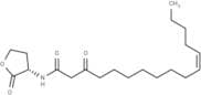 3-Oxo-C16:1