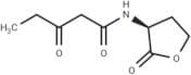 N-3-oxo-pentanoyl-L-Homoserine lactone