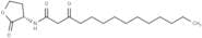 N-3-oxo-tetradecanoyl-L-Homoserine lactone