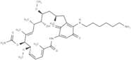 Aminohexylgeldanamycin