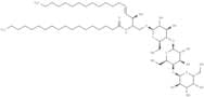 C18 Globotriaosylceramide (d18:1/18:0)
