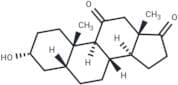 11-Oxo etiocholanolone