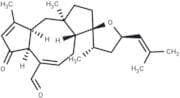 Anhydroophiobolin A