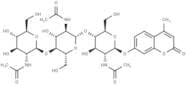 4-Methylumbelliferyl-β-D-N,N',N''-Triacetylchitotrioside