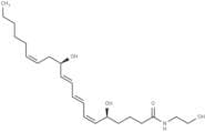 Leukotriene B4 Ethanolamide