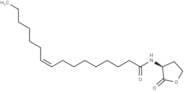 N-cis-hexadec-9Z-enoyl-L-Homoserine lactone