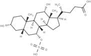 Cholic Acid 7-sulfate