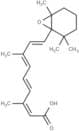 5,6-epoxy-13-cis Retinoic Acid