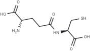 γ-Glutamylcysteine