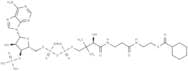 Cyclohexanoyl Coenzyme A