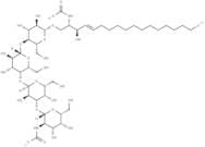 Globotetraosylceramides (porcine RBC)
