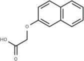 2-Naphthoxyacetic acid