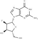 2′-Deoxy-2′-fluoroguanosine