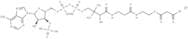 Malonyl Coenzyme A lithium