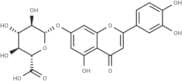 Luteolin 7-O-glucuronide