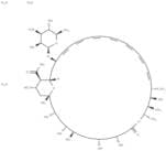Amphotericin B trihydrate