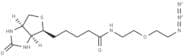 Biotin-PEG1-azide