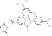 NHS-5(6)Carboxyrhodamine