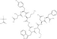 Cholecystokinin Octapeptide, desulfated TFA