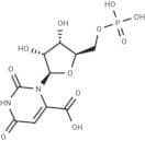 Orotidine 5′-monophosphate