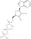 Purine riboside triphosphate