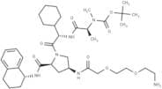 A 410099.1 amide-PEG2-amine-Boc