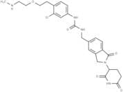 CC-885-CH2-PEG1-NH-CH3