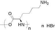 Poly-D-lysine hydrobromide (MW 30000-70000)