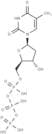 Deoxythymidine-5'-triphosphate
