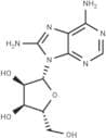 8-Aminoadenosine