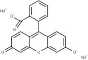 Fluorescein Sodium