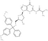 5'-O-DMT-N2-ibu-dG