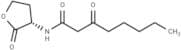 N-3-Oxo-octanoyl-L-homoserine lactone