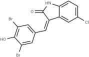 Raf inhibitor 2